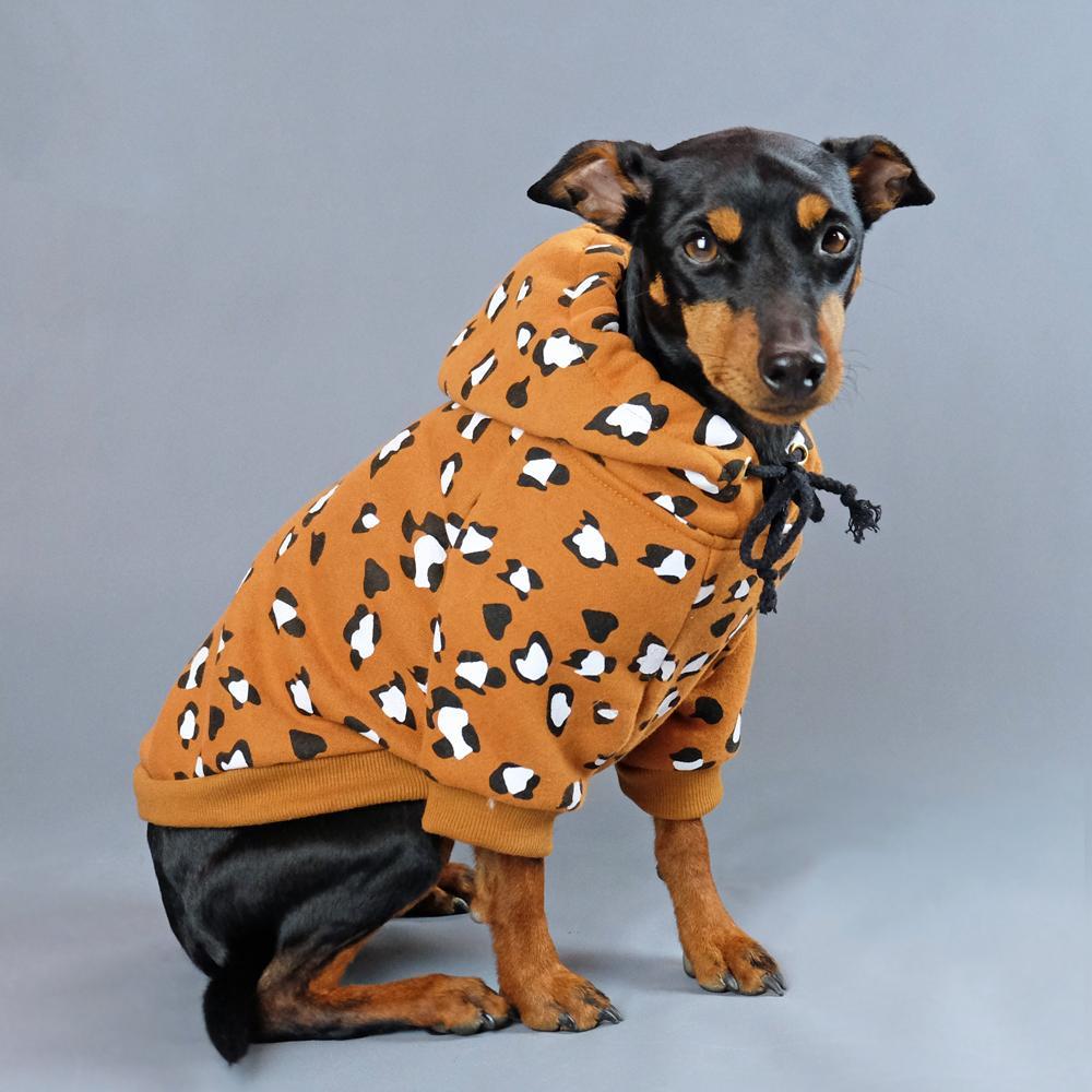 leopard print dog hoodie, leopard print dog sweatshirt, dog hoodie, pethaus, cool dog hoodie, rock dog hoodie, dog coat, Australian dog hoodie, English Toy Terrier, Toy Manchester Terrier