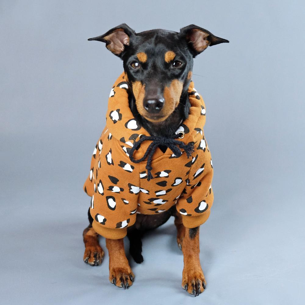 leopard print dog hoodie, leopard print dog sweatshirt, dog hoodie, pethaus, cool dog hoodie, rock dog hoodie, dog coat, Australian dog hoodie, English Toy Terrier, Toy Manchester Terrier