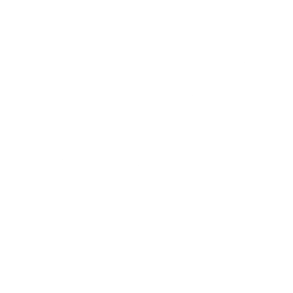 Dog clothing sizing guide PetHaus