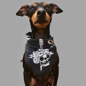 dog bandana black with dog skull print, loyal dog bandana, dog gift