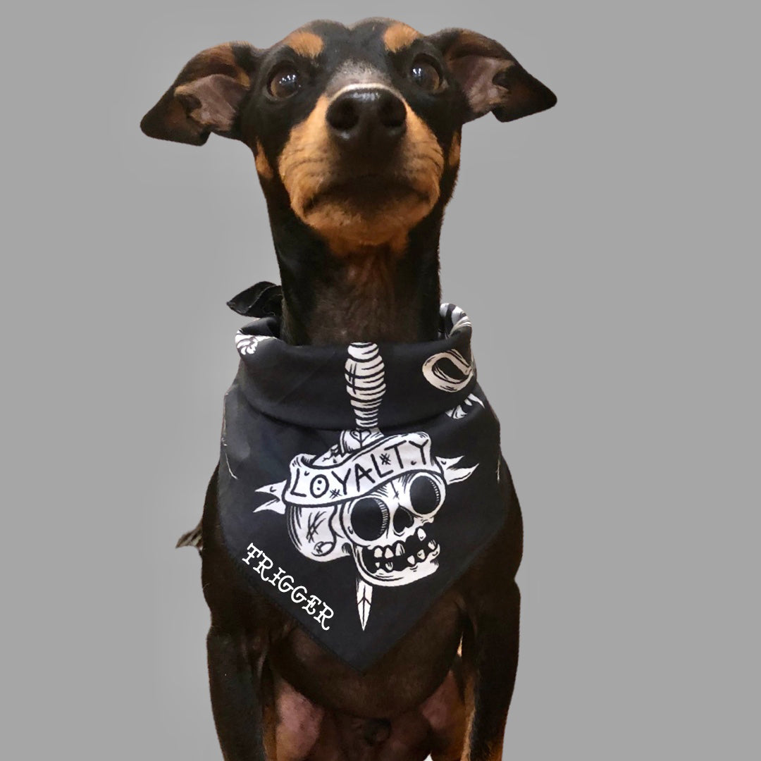 Loyal Dog  Bandana - Black