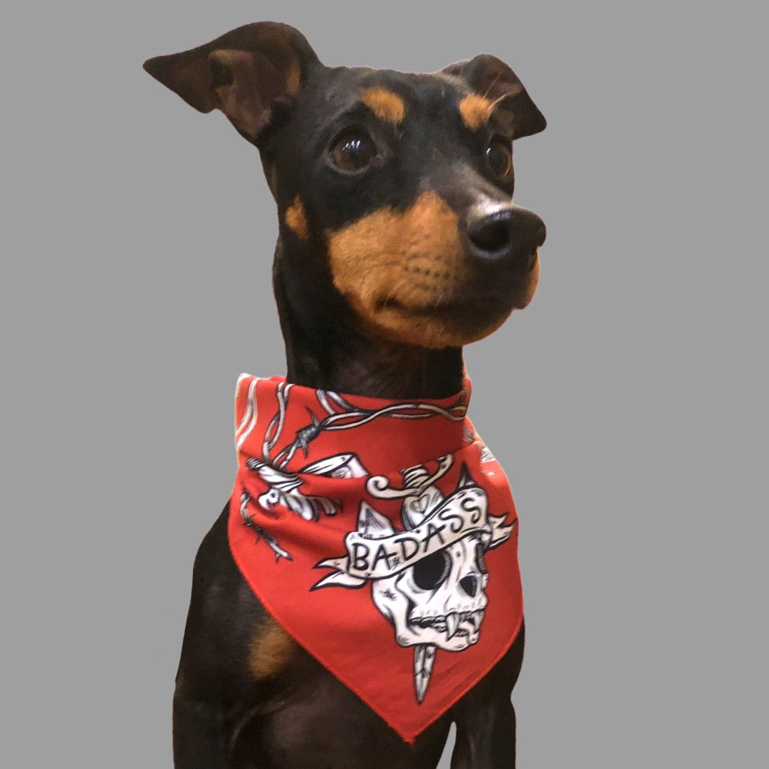 Cool dog bandana