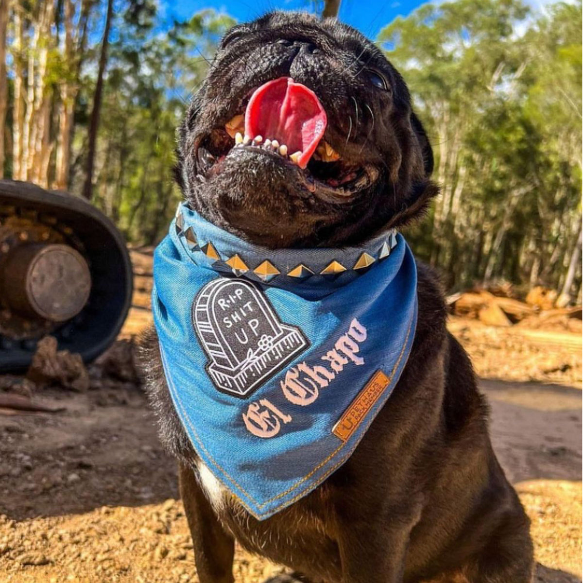 embroidered dog bandana, denim dog bandana with personalised dog name, dog gift, cute dog bandana