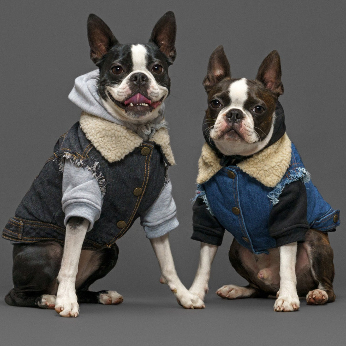 Dog denim vest and dog hoodie, Rock dog clothing, dog coat made in australia