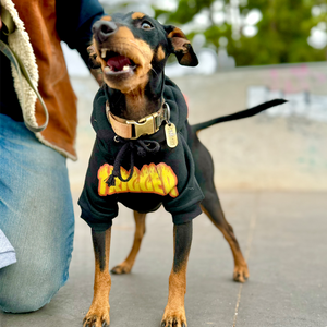 Personalised Thrasher Font Dog Hoodie 🔥