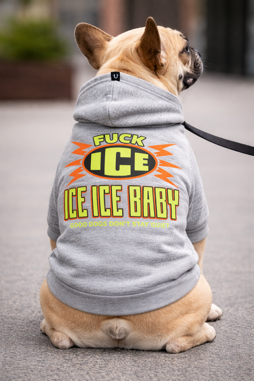 french bulldog wearing a grey fuck ice dog hoodie, Anti ice merch
