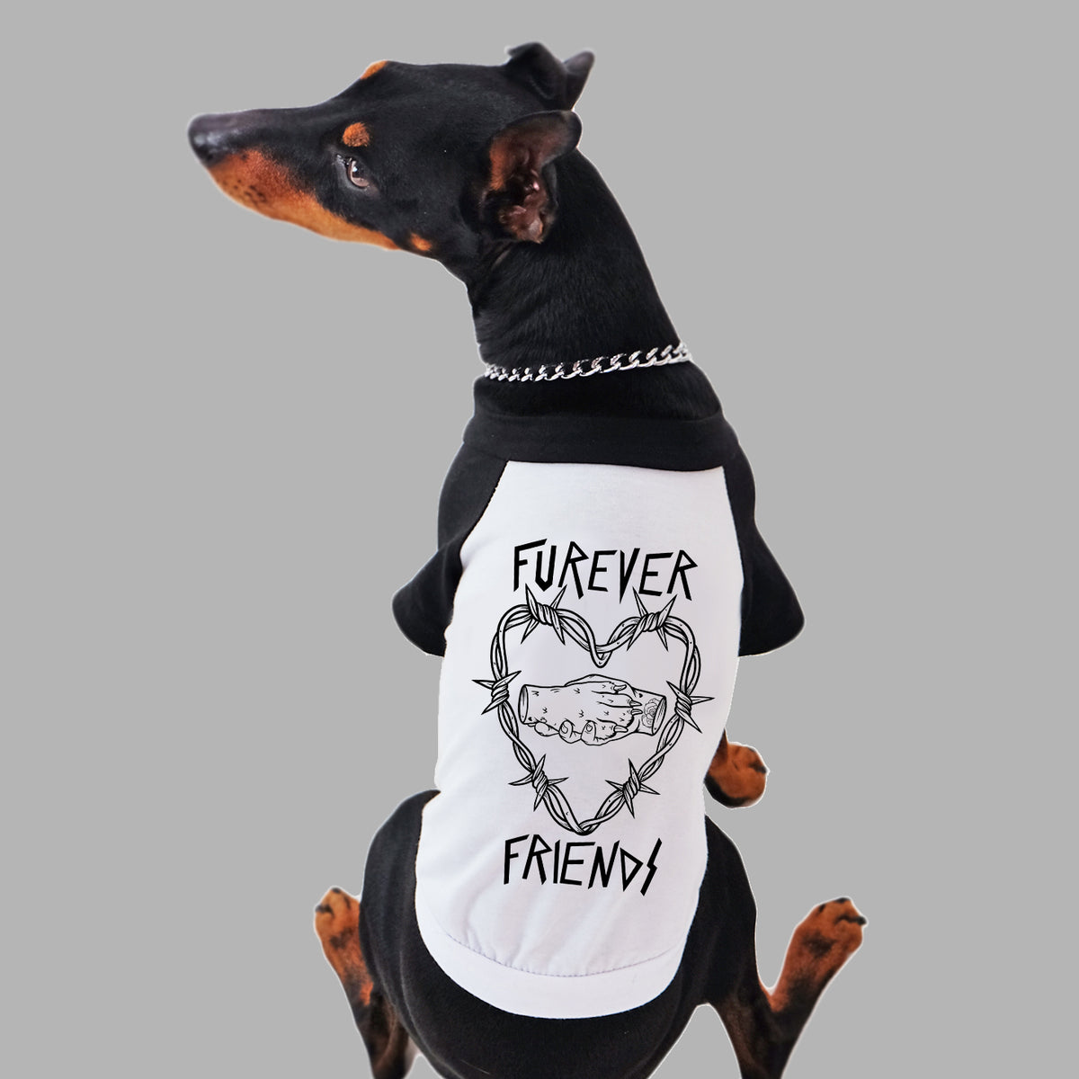 cool dog tee, furever friends dog tee for dog lovers. rescue dog tee