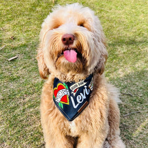 Personalised dog bandana with patches, australian made dog bandana