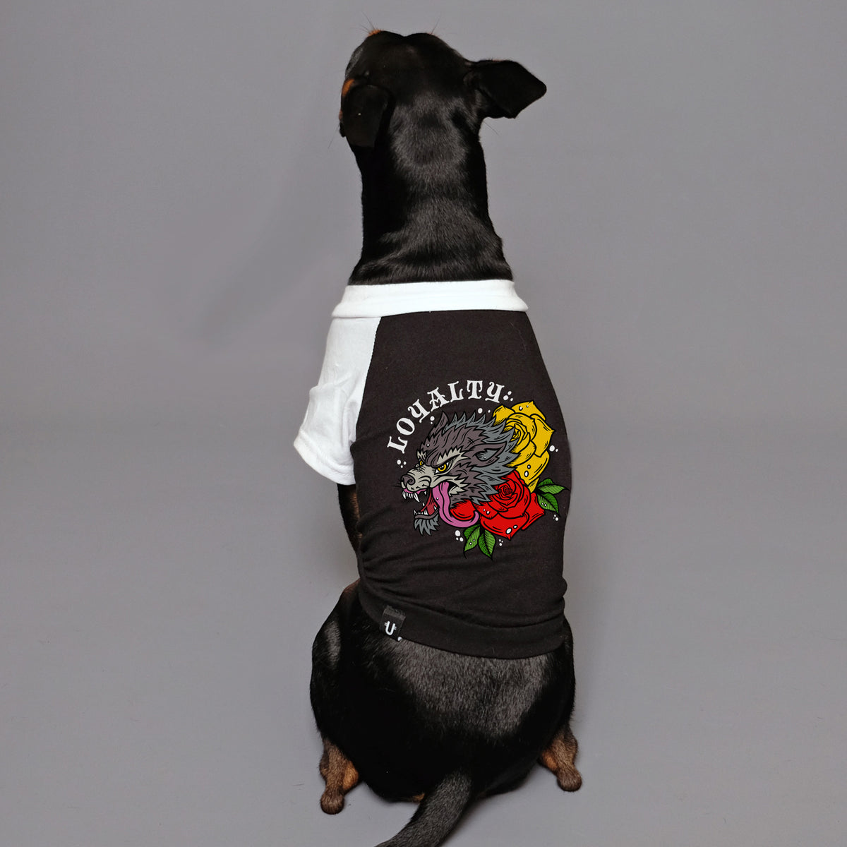 Loyalty dog tee with wolf print for cool dogs