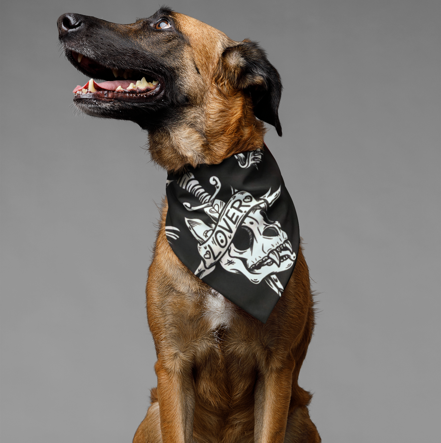 dog bandana black with dog skull print, loyal dog bandana, dog gift