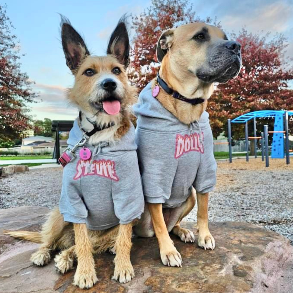 Personalised dog hoodie with thrasher flame font made in Australia to fit large and small dogs. 