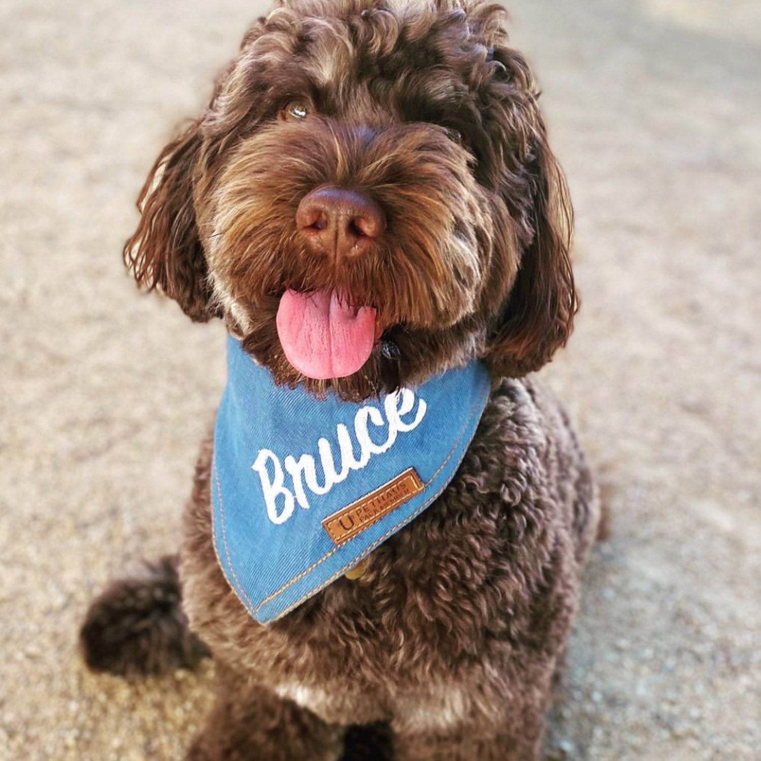 Personalised Dog Bandana Made in Australia Pethaus PetHaus