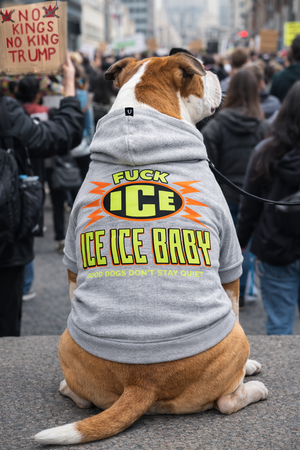 F*CK ICE DOG HOODIE