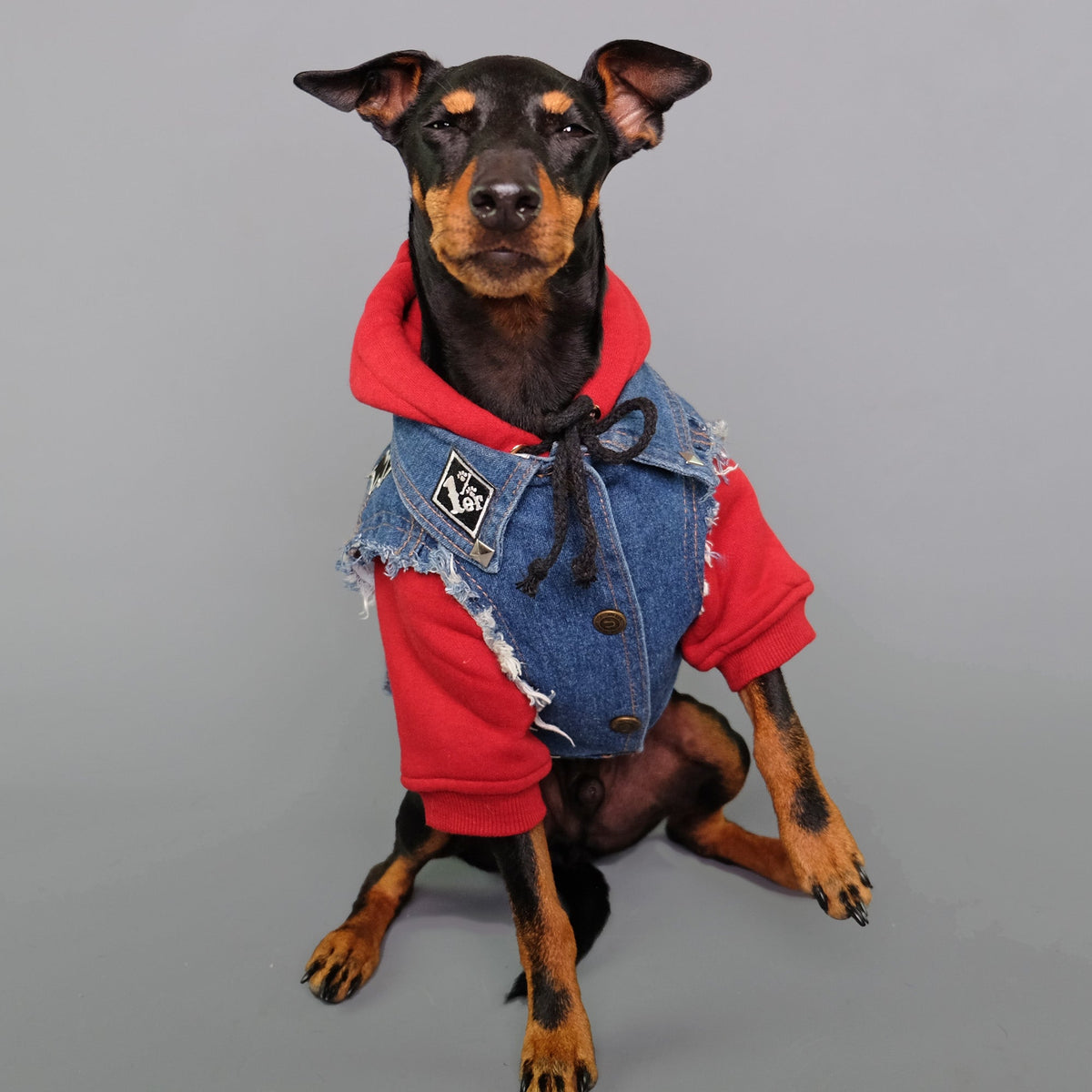 red dog hoodie and denim dog vest by Australia