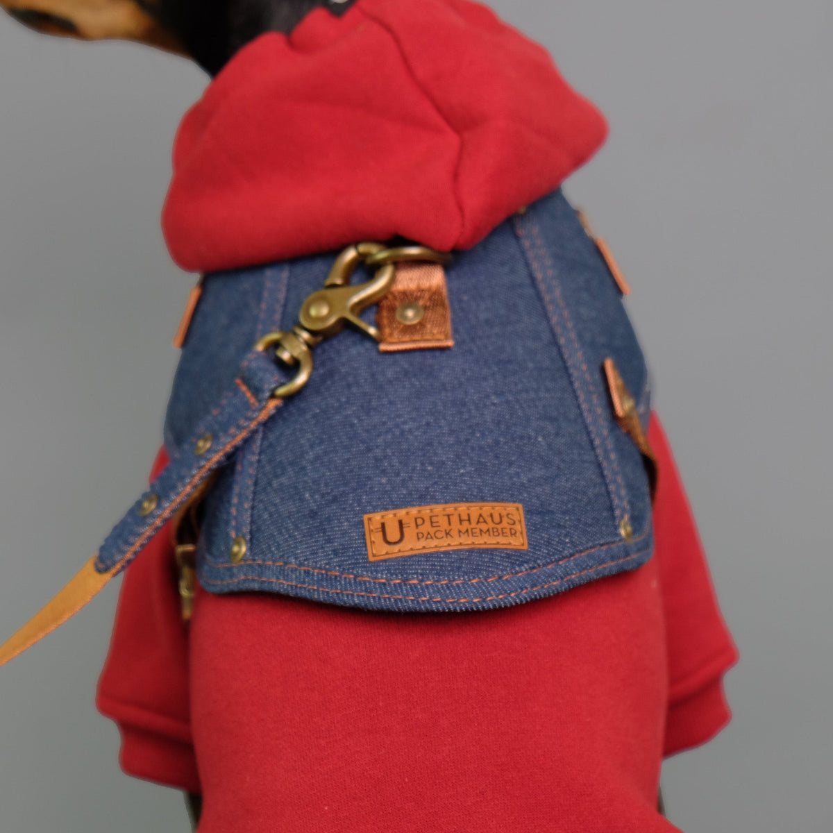 Red dog hoodie Australia by Pethaus