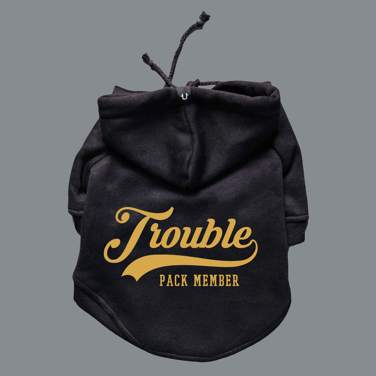 cool personalise dog hoodie by pethaus