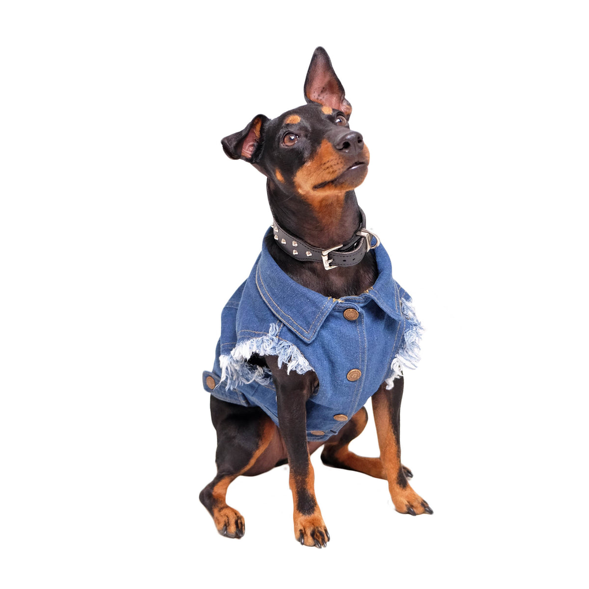 denim dog vest by Pethaus