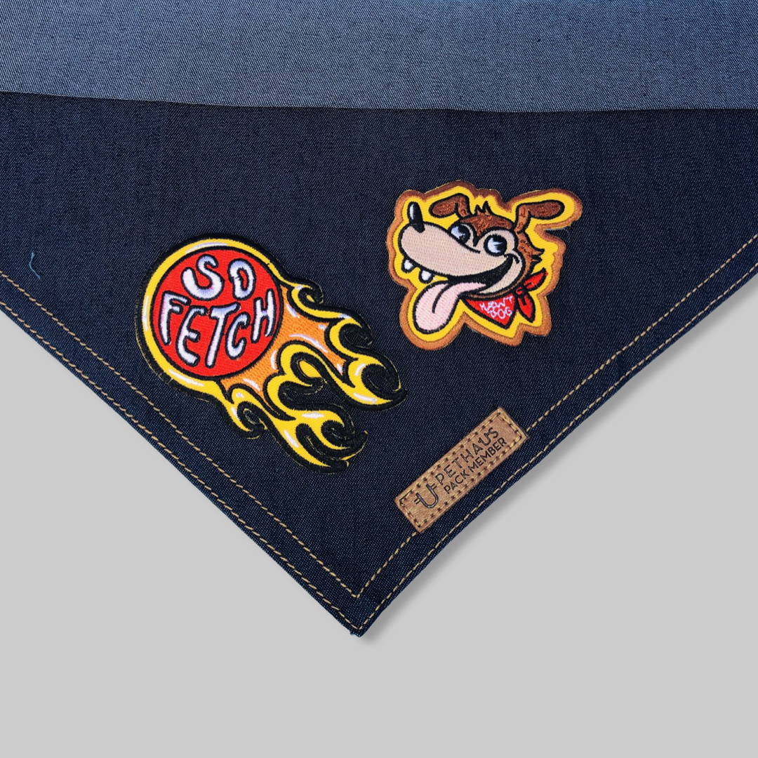 Hawty Diggity Denim Dog Bandana