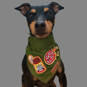 Dog bandana australia, green dog bandana with patches, patched dog bandana by Pethaus and Ginger Taylor
