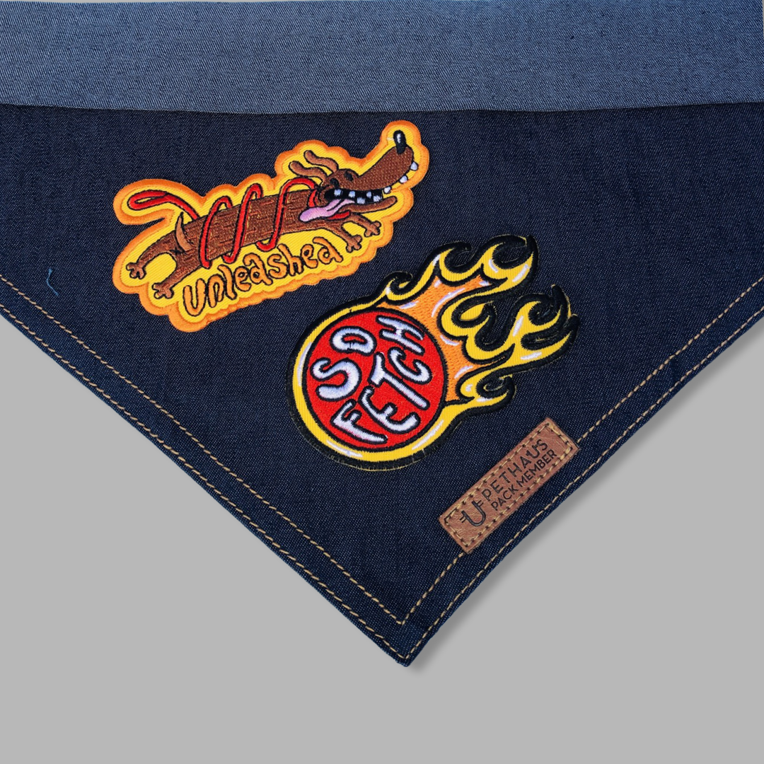 Hawty Diggity Denim Dog Bandana