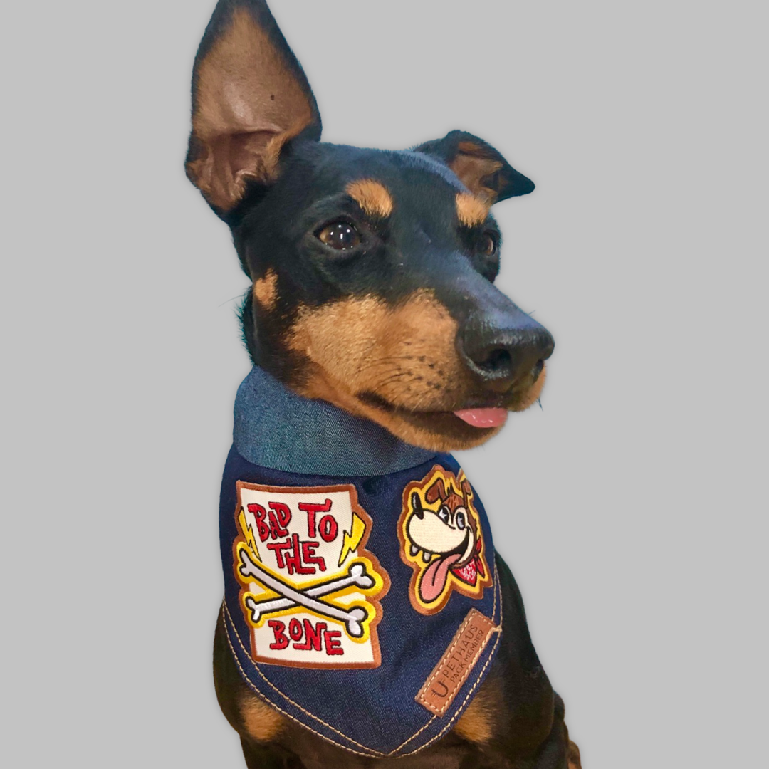 Hawty Diggity Denim Dog Bandana