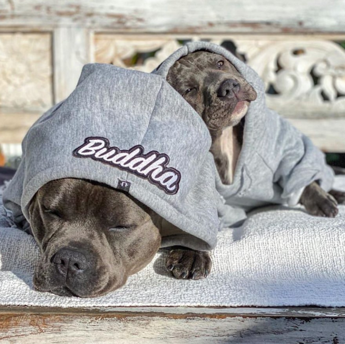 Grey dog hoodie with personalised name