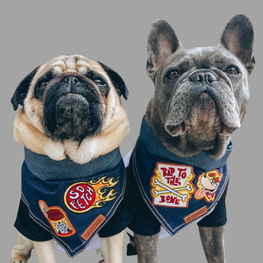 Dog bandanas made in Australia, denim dog bandanas with patches by Pethaus and Ginger Taylor