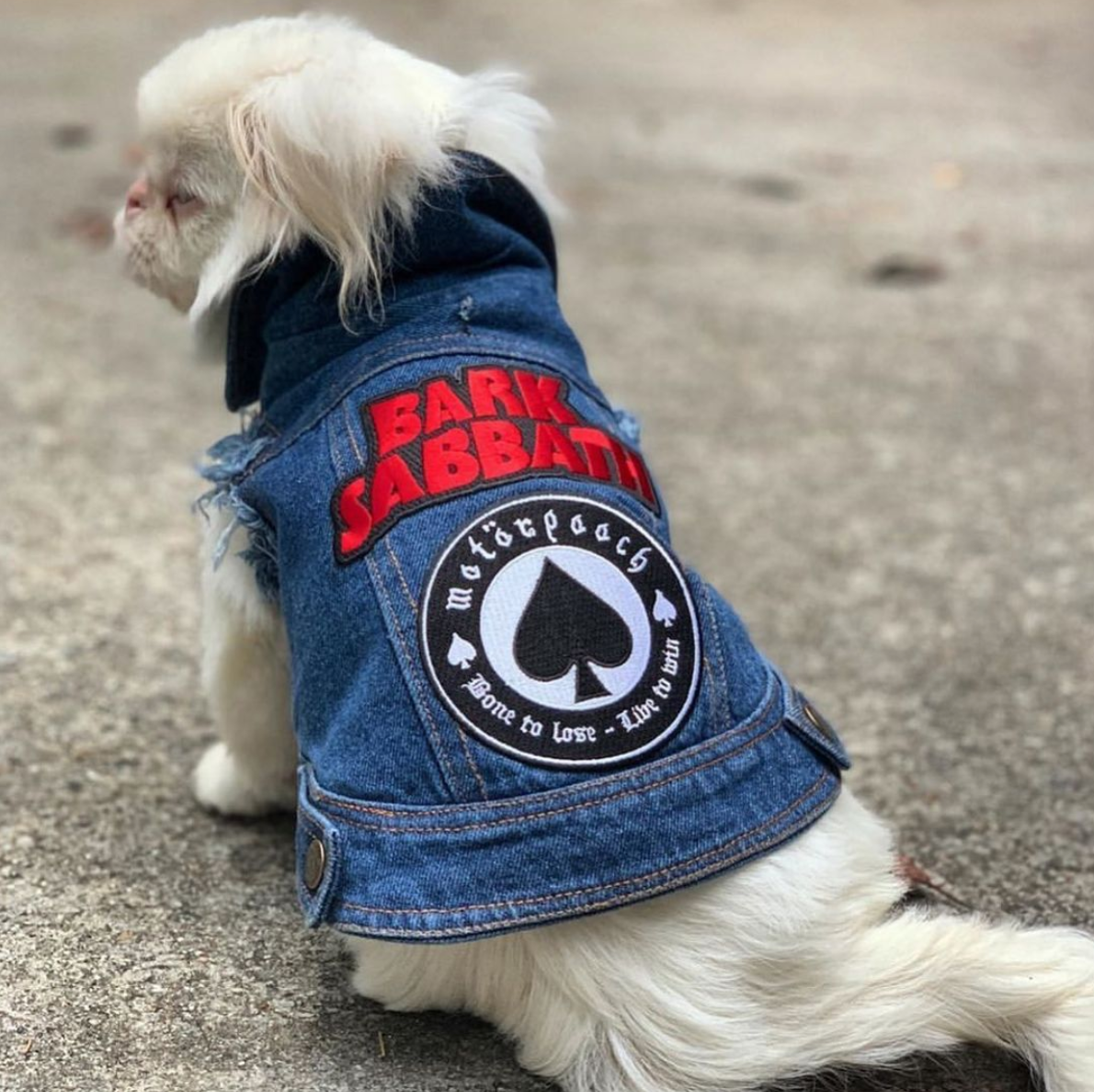 Denim dog jacket with rock dog patches, dog coat made in Australia