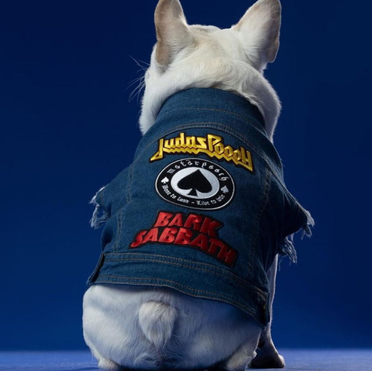 denim dog vest with patches by Pethaus Australia dog coats