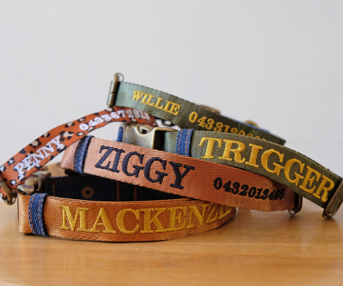 personalised embroidered dog collars, Australian made dog collars, id dog collars, custom dog collars