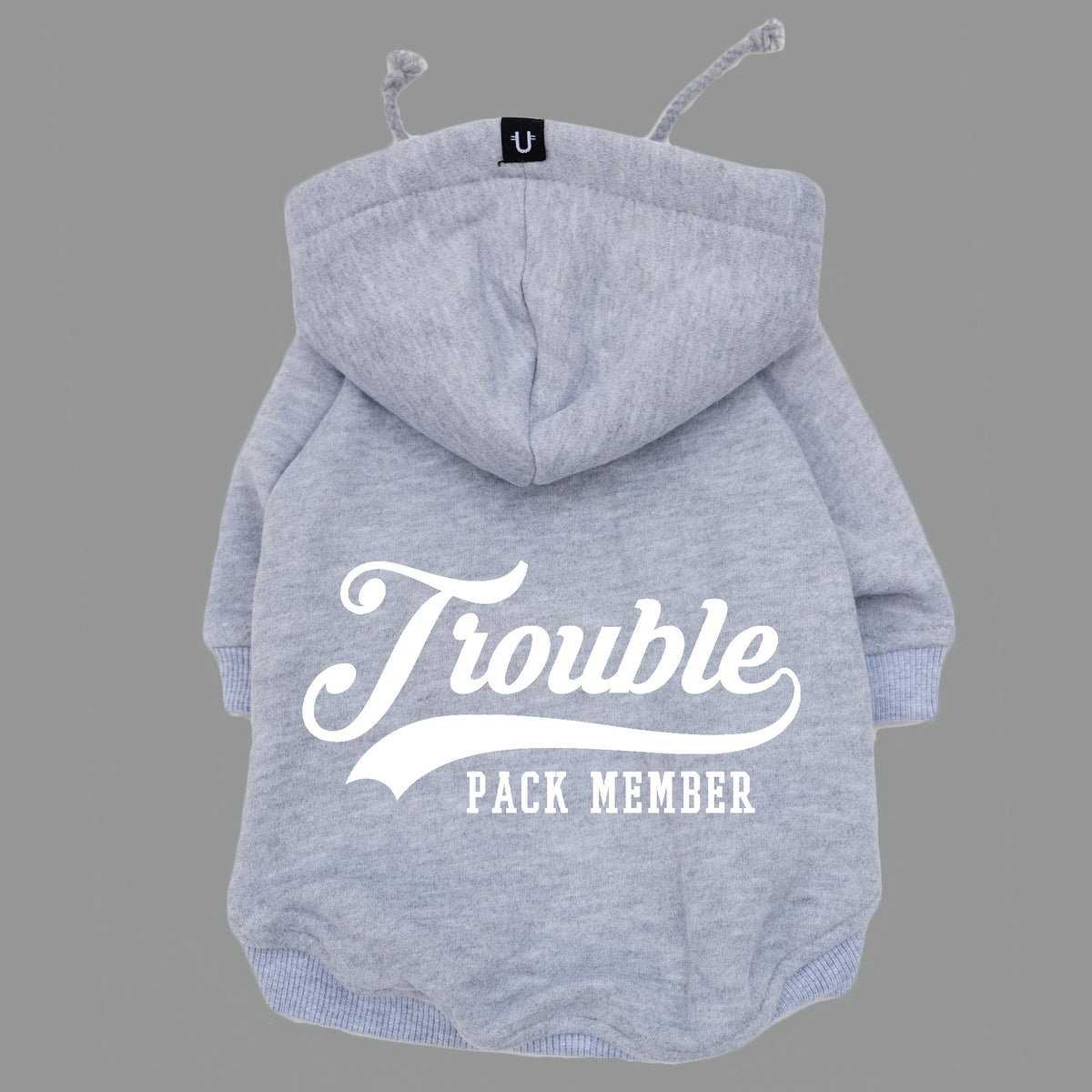 Personalised dog hoodie, base ball dog hoodie, dog gift designed in Australia, grey dog hoodie by Pethaus