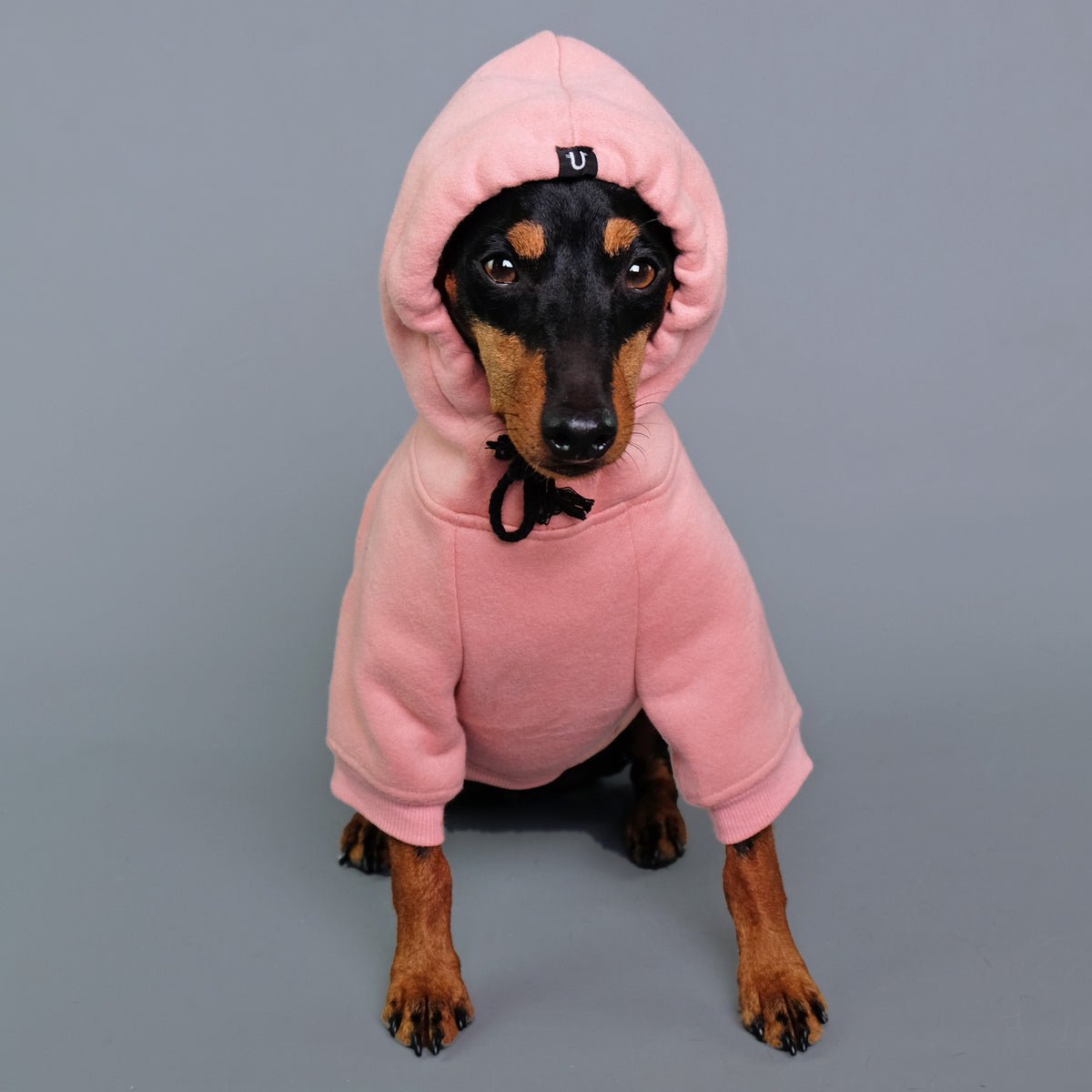 designer pink dog hoodie by Pethaus Australia