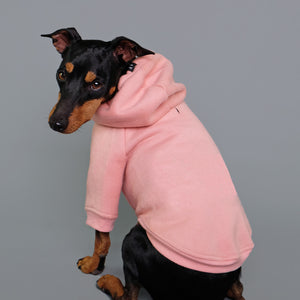 Pink dog hoodie fits big and small dogs made by Pethaus Australia
