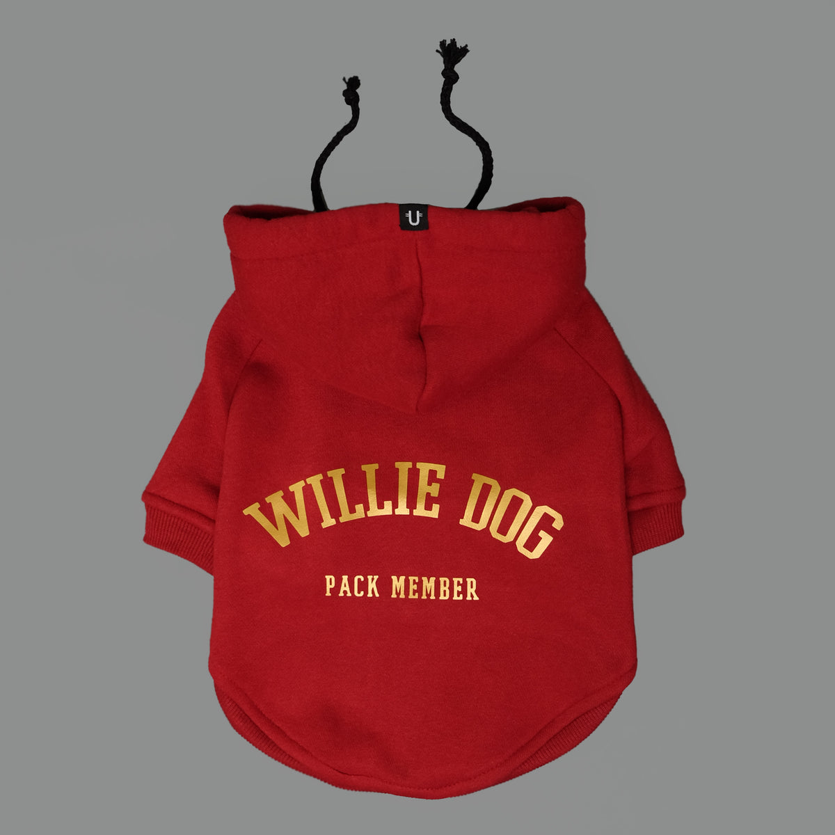 Cool dog hoodie - Personalised dog hoodies Australia by Pethaus