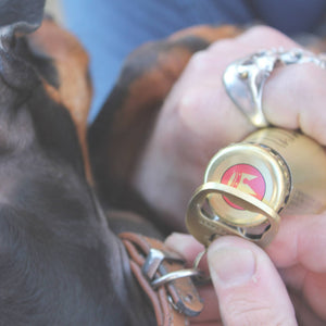 Dog gift, Gift for dog, Dog tag, dog tag bottle opener, pethaus