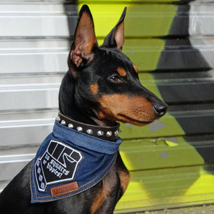 Denim dog bandana patched, melbourne dog clothing