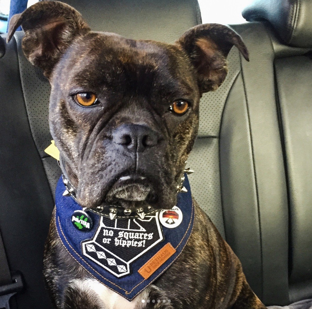 denim dog bandana with patches by Pethaus