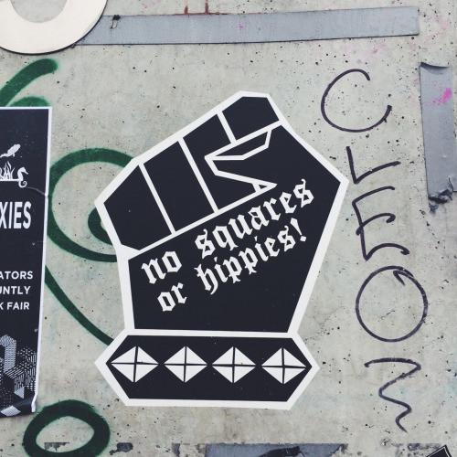 No squares or hippies - Pethaus