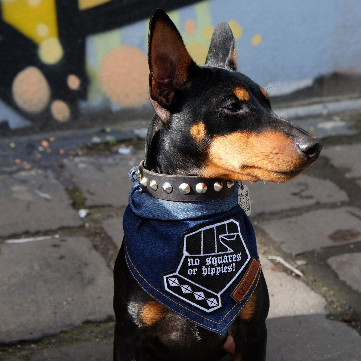Denim dog bandana, dog clothing melbourne australia