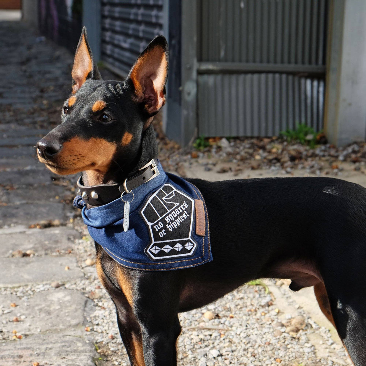 Denim dog bandana by Pethaus