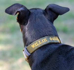 Personalised dog collar made in Australia, embroidered dog collar with dogs name and phone number, green dog collar
