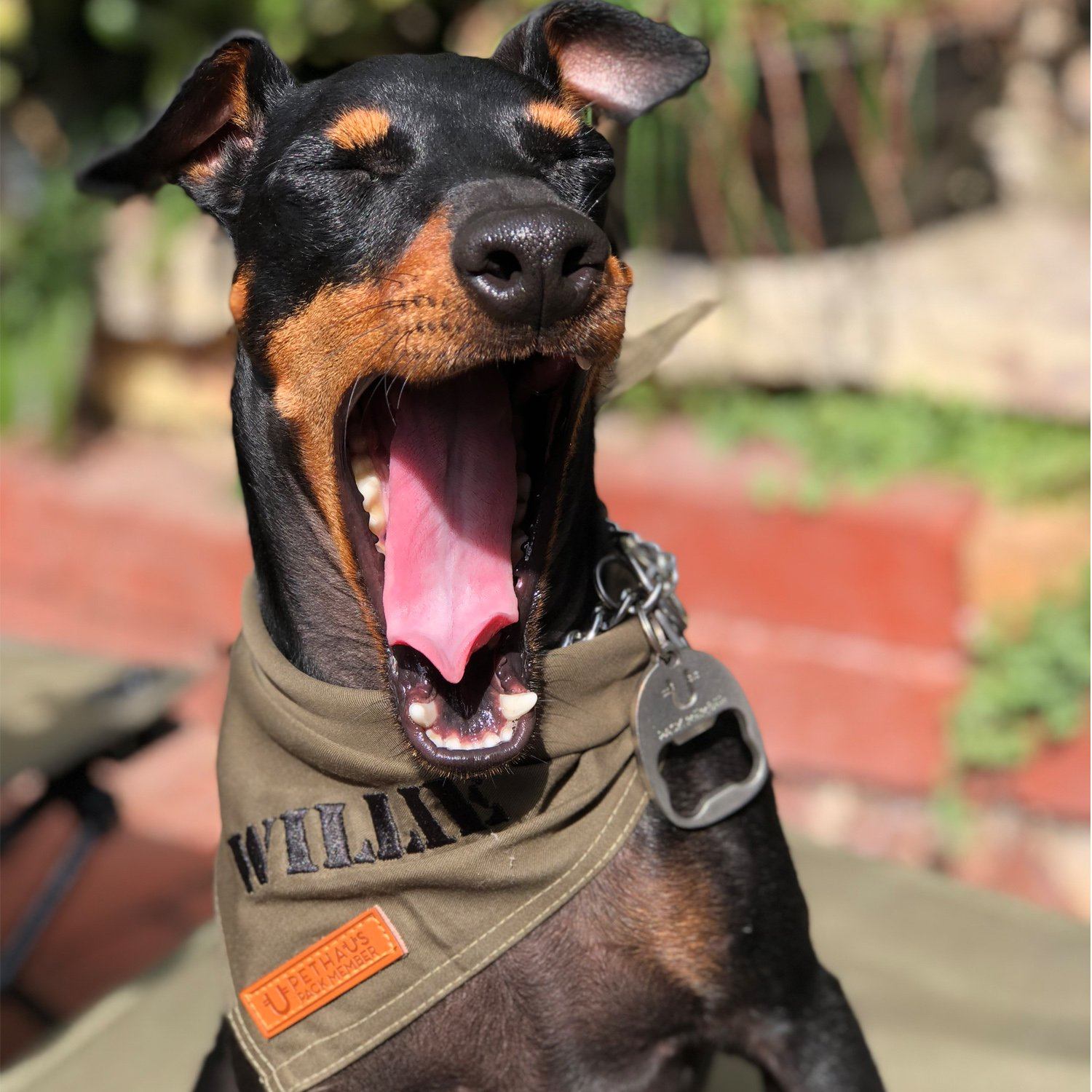 Personalised Dog Bandana, Army green dog bandana, khaki dog bandana, dog bandana with patches, dog patches, service dog