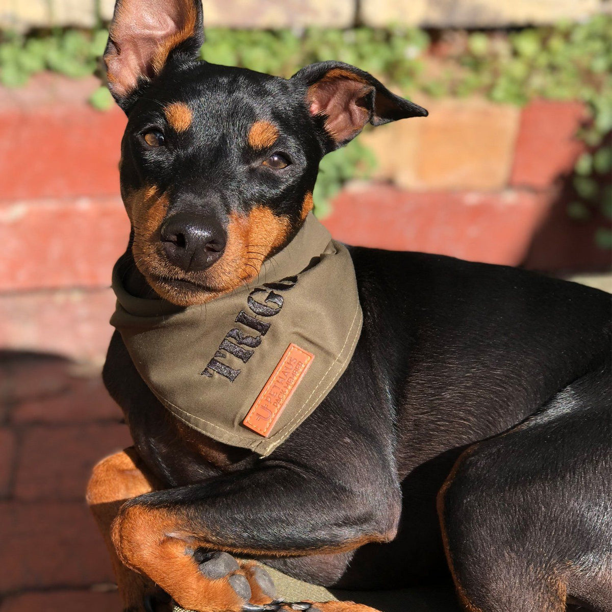 Personalised Dog Bandana, Army green dog bandana, khaki dog bandana, dog bandana with patches, dog patches, service dog