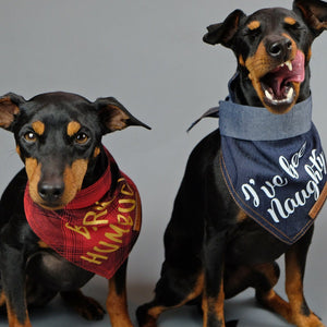 Christmas dog bandana, dog gift, bark hum bug, pethaus, cool dog gift, 