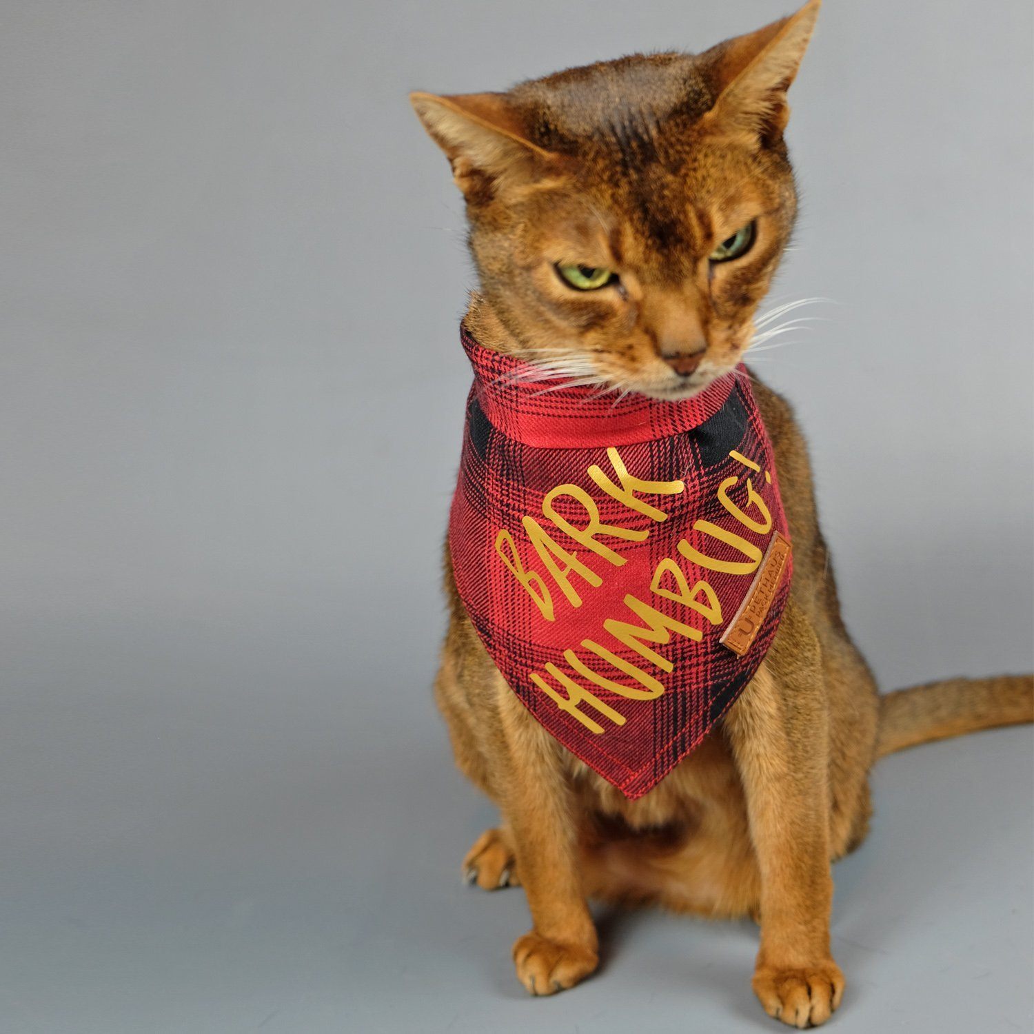 Christmas dog bandana, dog gift, bark hum bug, pethaus, cool dog gift, 