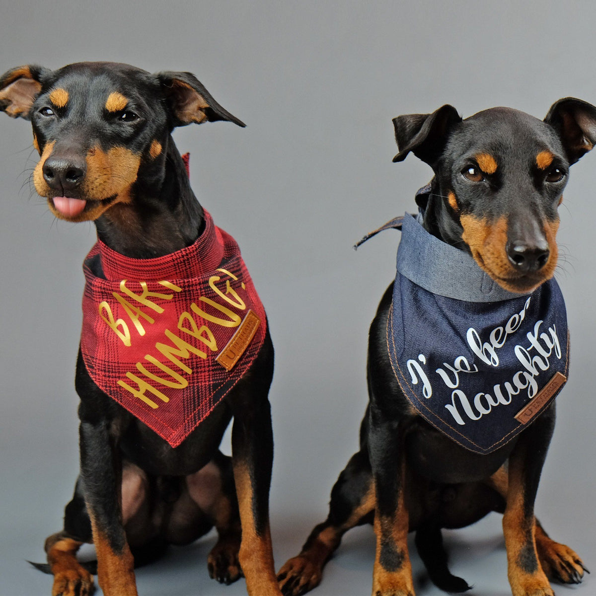 Christmas dog bandana, dog gift, bark hum bug, pethaus, cool dog gift, 