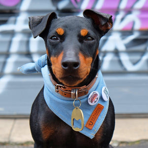 denim dog bandana, blue dog bandana,australia dog bandana, cool dog bandana, pethaus, designer dog bandana