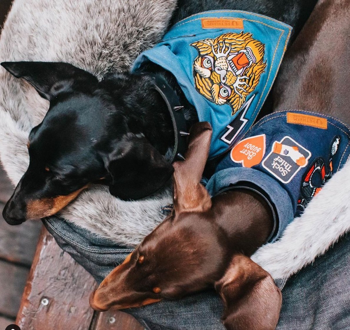 Denim dog bandana Designer dog bandana Dog bandana Australia