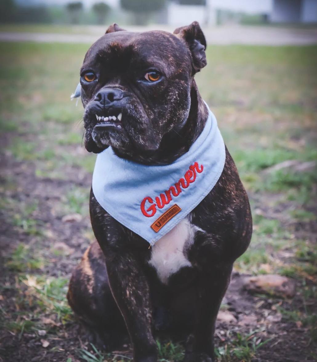 Custom dog discount handkerchiefs