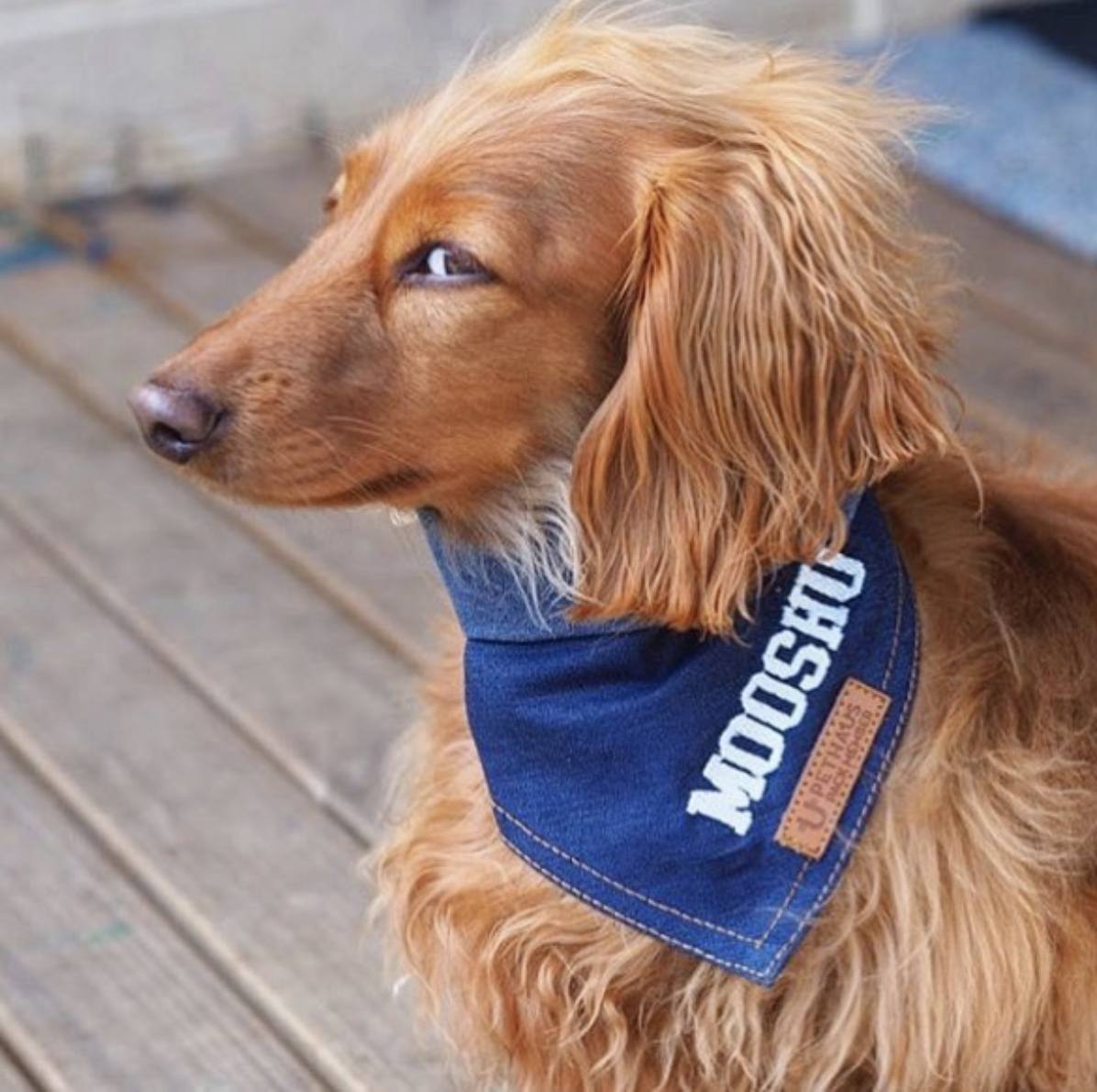 Custom dog top bandana collar